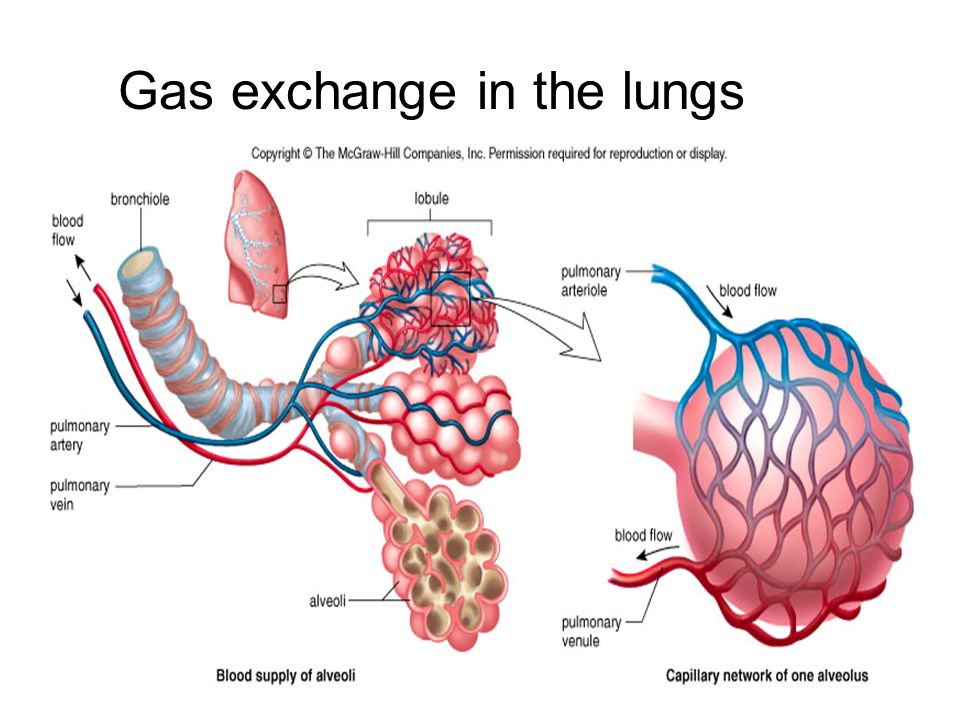 Estreñimiento y gases causas